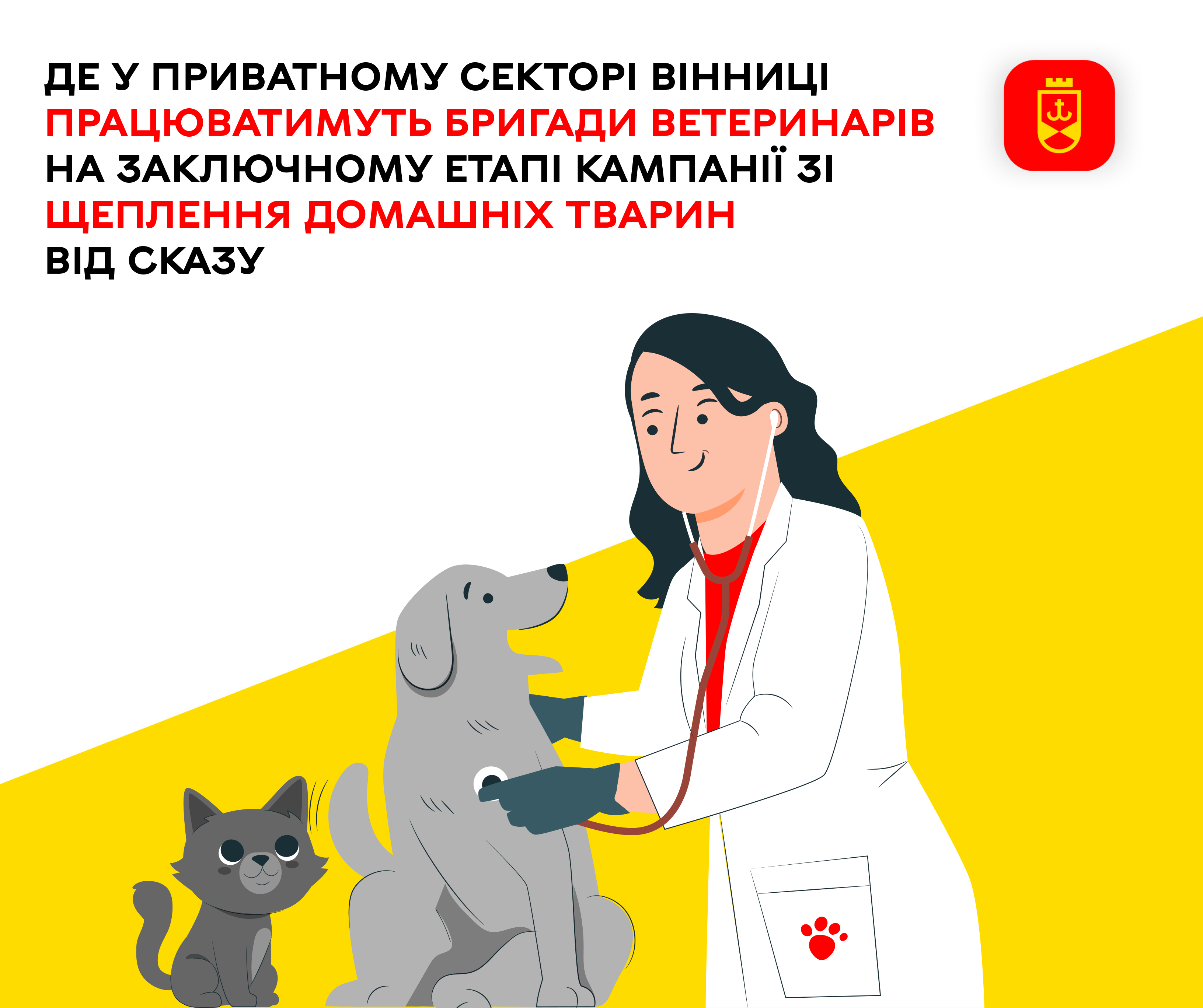 Де  у приватному секторі Вінниці працюватимуть бригади ветеринарів на заключному етапі кампанії зі щеплення домашніх тварин від сказу